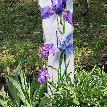 Dell Arte 'fiore' Πανδοχείο Trarego Viggiona